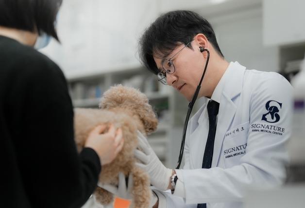 스마트한 '육각형 수의사' 이태호, 시그니처로 이름 바꾼 이유