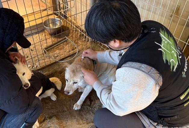 녹십자수의약품, 실험종료 비글 위해 심장사상충약 데피니트 기부