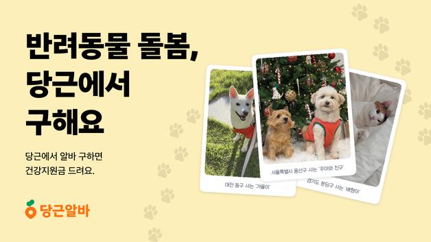 설연휴 '내새꾸' 돌봄알바도 당근에서…구인글 올리고 경품 받자