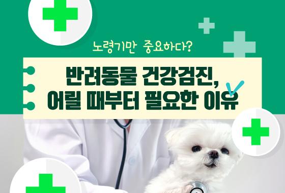 노령기만 중요?…반려동물 건강검진, 어릴 때부터 필요한 이유[펫카드]