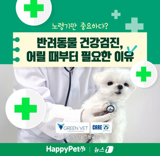 노령기만 중요?…반려동물 건강검진, 어릴 때부터 필요한 이유[펫카드]