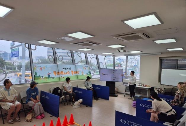 반려견 놀이터부터 고양이 입양카페까지…'구로댕냥이네' 인기