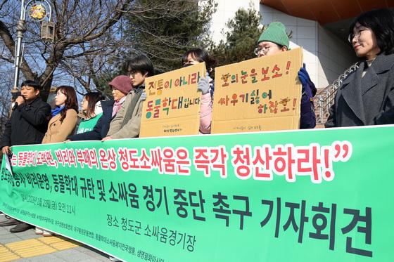 "뿔 뽑혀 피 흘리는 소에 진통제"…청도소싸움 개막 하루 전 폐지 촉구