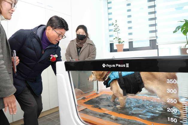 대구 북구 관음동물사랑교육센터 개소…반려동물 재활·치료