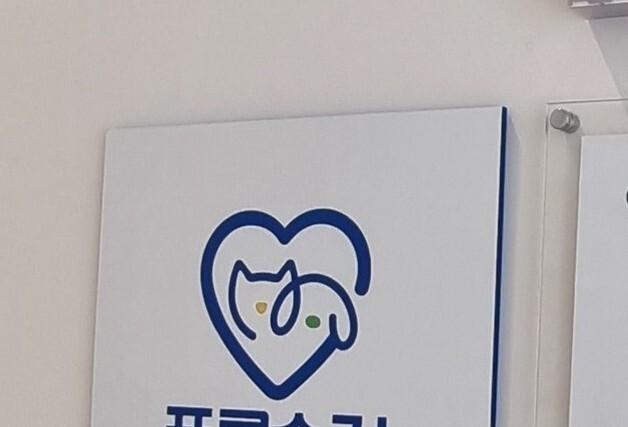 "도심서 유기동물 교감·입양"…수원시, 동물병원 6곳 쉼터 지정