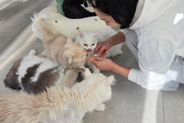 줄 서듯 모여든 보호소 고양이들…어반포즈, 신제품 후원 나눔