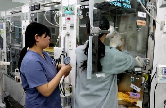 경기동물의료원, VECCS 레벨2 획득…"응급·중환자 케어 역량 인정"