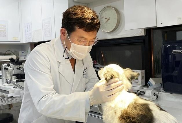 친절한 동물농장 수의사, 병원 접고 올인…"임상 환경 살리려고"