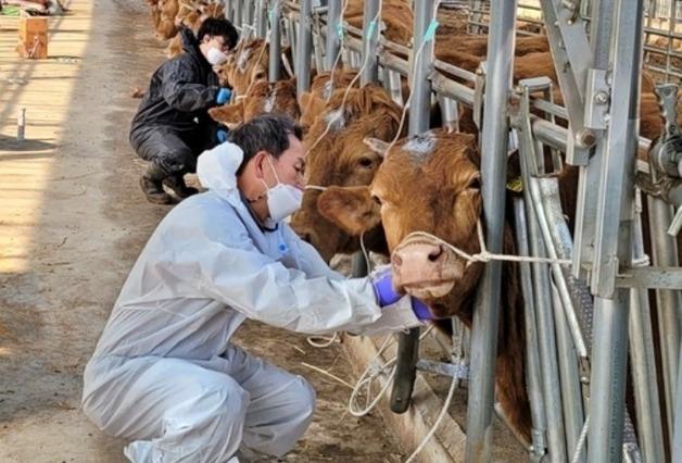물리고 뒷발에 차여 속앓이하는 사람들…"수의사가 먼저인 이유"