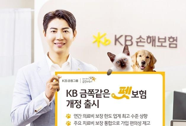 KB손해보험, 의료비 업계 최고 수준 'KB 금쪽같은 펫보험'