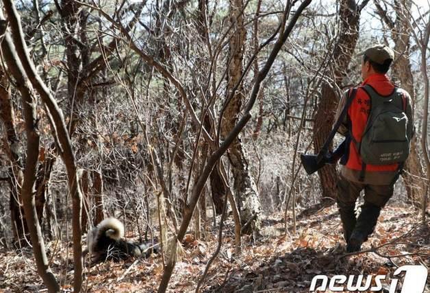 울주군 유해야생동물 피해방지단 모집…16일까지