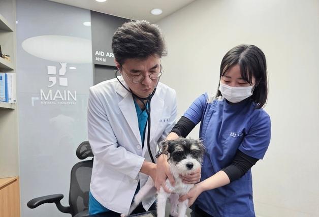 삼척서 청주까지…이사 간 보호자도 다시 찾는 1인 동물병원 비결