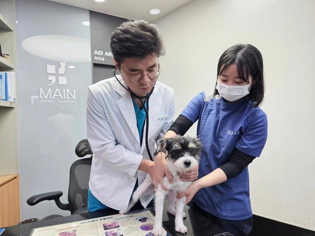 삼척서 청주까지…이사 간 보호자도 다시 찾는 1인 동물병원 비결