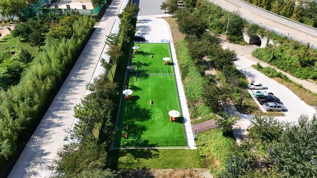 "동물등록 인증해야 입장" 동해 반려동물 놀이터, 운영방식 개선