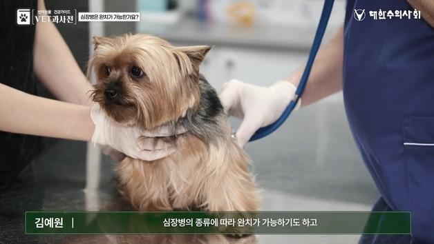 "강아지 잠잘 때 숨이 빨라졌다면?"…심장병 의심 신호