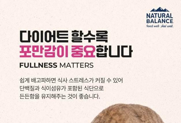 고양이 다이어트, 적게 먹이면 될까…"잘 먹이고 포만감 유지"