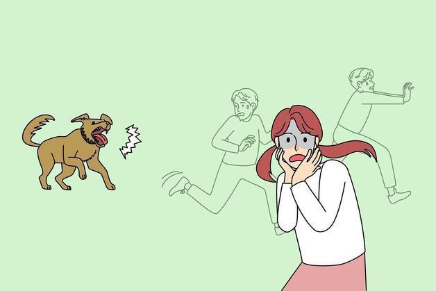 반려동물 안전사고로 603명 피해…"예방 예산 확보 필요"