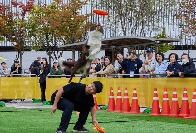 '반려견과 함께하는 특별한 하루'…가을철 반려문화축제 호응