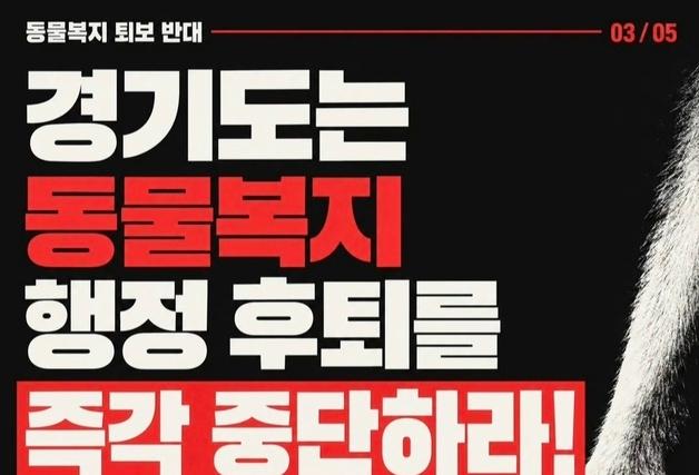 경기도 축산동물복지국 사라지나…시민단체·수의사회, 반발