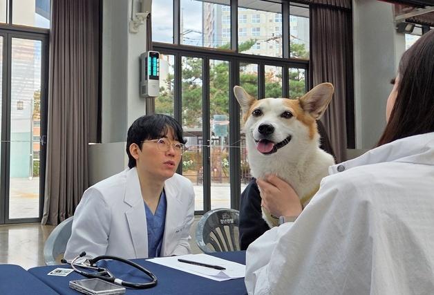반려동물과 영화 관람하고 수의사에게 건강 상담 '상플시네멍'