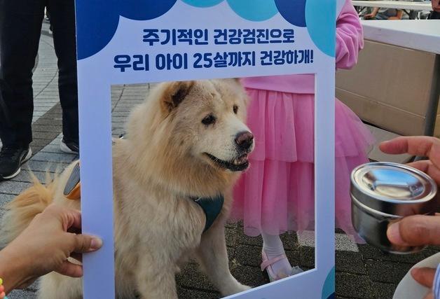 "반려동물 건강, 아프기 전 챙겨요"…그린벳·수의사회 캠페인