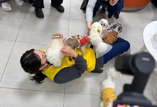 보호견 사진 찍고 퇴역 군견 입양 돕고…본동물의료센터 봉사활동