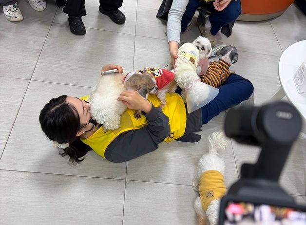 보호견 사진 찍고 퇴역 군견 입양 돕고…본동물의료센터 봉사활동