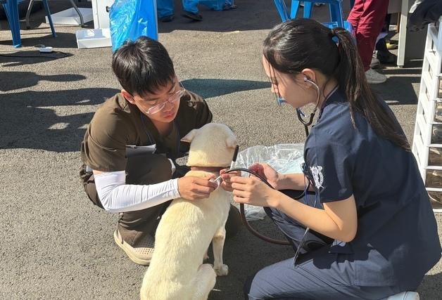 '준비된 봉사' 수의대생, 화성시민동물보호센터서 교육 받고 돌봄