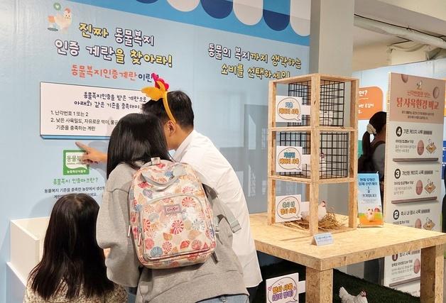"엄마, 동물복지 달걀 알려주세요"…1004빌리지에 주민들 몰렸다