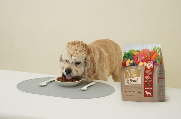 설 연휴 반려동물 위탁한다면…"익숙함이 스트레스를 줄입니다"