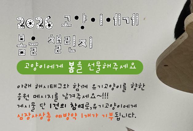 "고양이에게 봄을"…녹십자수의약품, 데피니트캣 기부 캠페인 전개