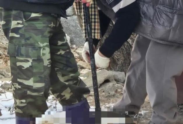 공공기관서 입양한 반려견 잡아먹은 70대, 경찰 수사 착수