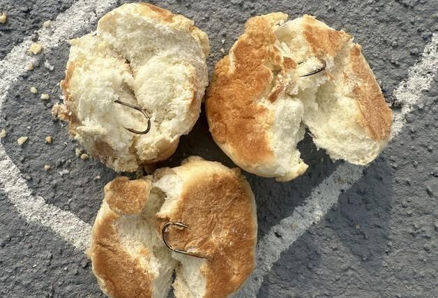 '누가 이런 짓을' 반려견 놀이터에 낚시바늘 박힌 빵…견주들 공분