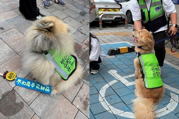 산책이 기부로…네츄럴코어, 반려견 순찰대와 사회공헌 확대
