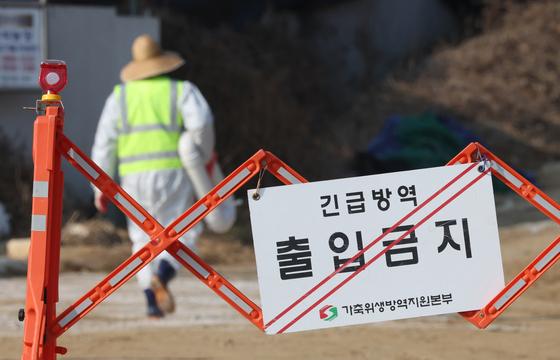 함평 양돈농장서 아프리카돼지열병 발생…"방역 강화"