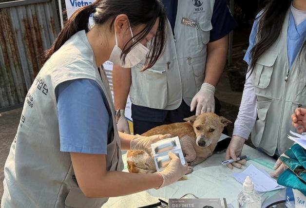 녹십자수의약품, 베트남 동물의료봉사 후원…"원헬스 가치 실현"