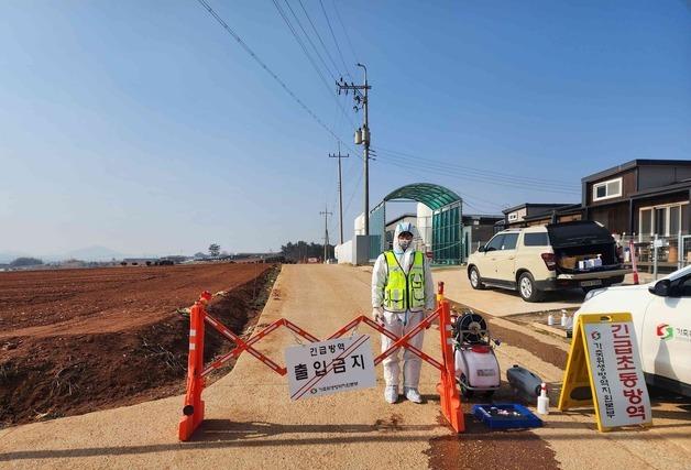 무안 양돈농장서 아프리카돼지열병…전남도 "확산 차단 총력"