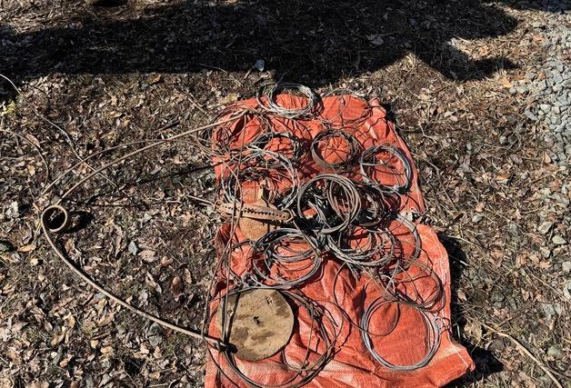 영산강청, 장성 일대서 야생동물 불법 엽구 27점 수거