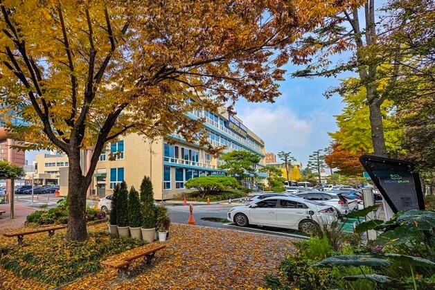 대전 중구, 상반기 광견병 예방 접종 실시