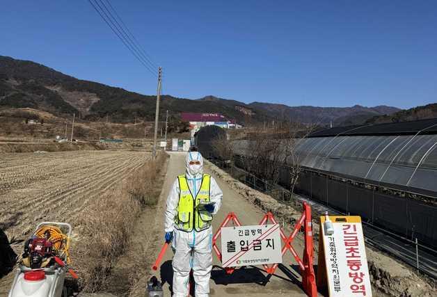 오리 9000마리 키우는 구례 농장서 조류인플루엔자 항원 검출