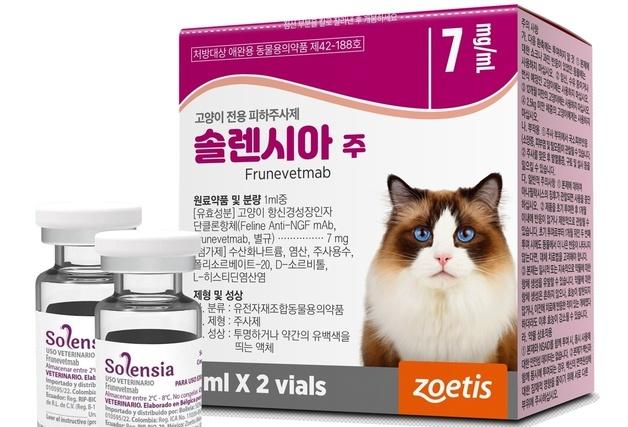 "월1회 피하주사"…고양이 골관절염 통증 관리 '솔렌시아' 출시