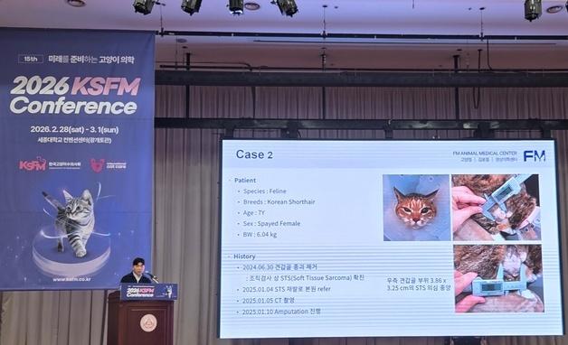 화상 입고 종양 생긴 고양이…"아이스니들링 적용 엑소좀으로 치료"