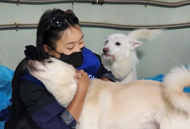 효린 보자 좋아서 꼬리 흔든 보호견들…내추럴발란스 사료 후원도