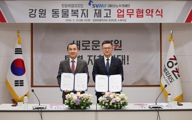 소노수의재단-강원도, 유기묘 입양·반려동물 의료지원 확대 협약