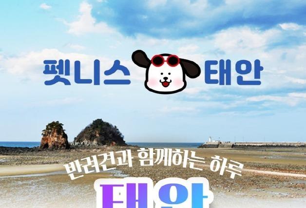 반려견과 버스 타고 태안 여행…'댕댕투어' 뜬다