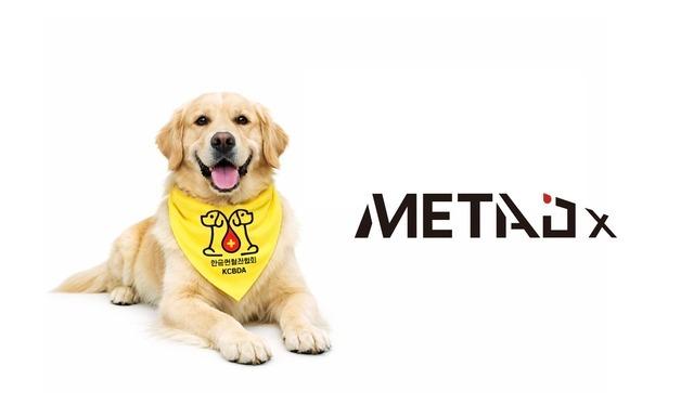 생명 살리는 헌혈견, 건강도 지킨다…AI 종양 검사 적용