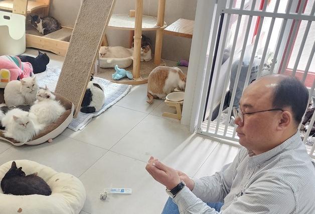 코벳-SKY동물메디컬센터, 고양이보호소서 봉사…"건강검진 필수"