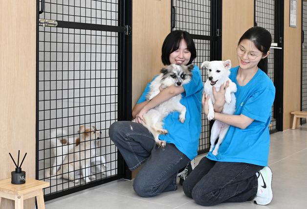 "고향사랑기부금으로 유기견 36마리 안락사 막았다"