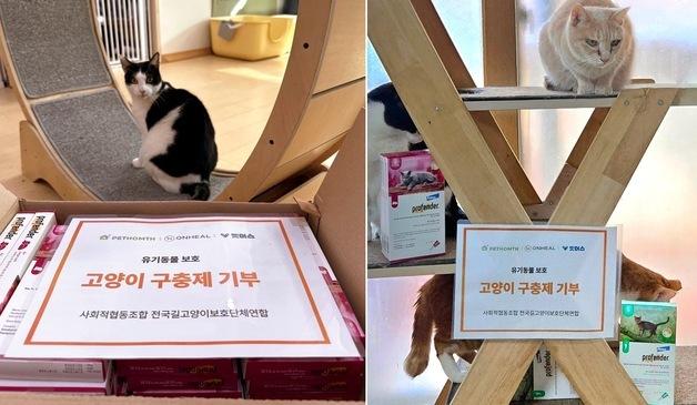 "길고양이 건강 지킨다"…온힐, 내외부 구충제 '프로펜더 캣' 기부