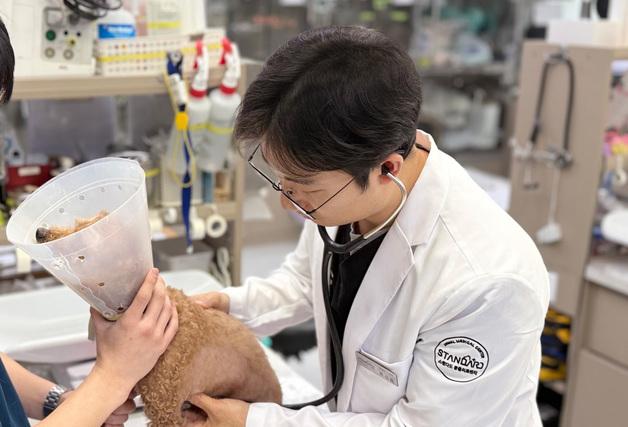 "반려동물 암, 생각보다 흔하다"…수의사가 말한 림포마 조기 신호